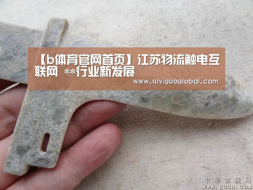 【b体育官网首页】江苏物流触电互联网 **行业新发展(图2) bsport体育官网入口
