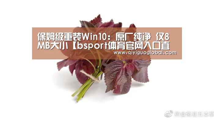 保姆级重装Win10:原厂纯净 仅8MB大小【bsport体育官网入口直播】(图3) bsport体育官网入口直播